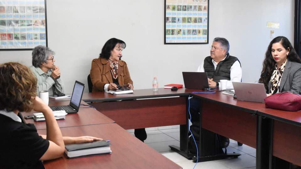 Estudios por parte de Sagarhpa y Sader no han detectado rastros de bacteria en campos agrícolas en Sonora